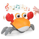 Caranguejo Fujão - Brinquedo Infantil Educativo